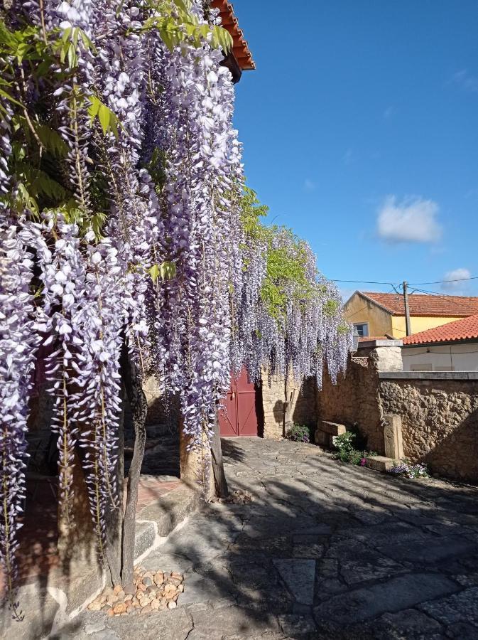 Casarao Do Largo Da Eira Homestay *